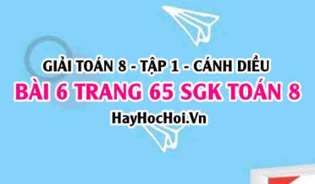 Giải bài 6 trang 65 Toán 8 Tập 1 SGK Cánh Diều